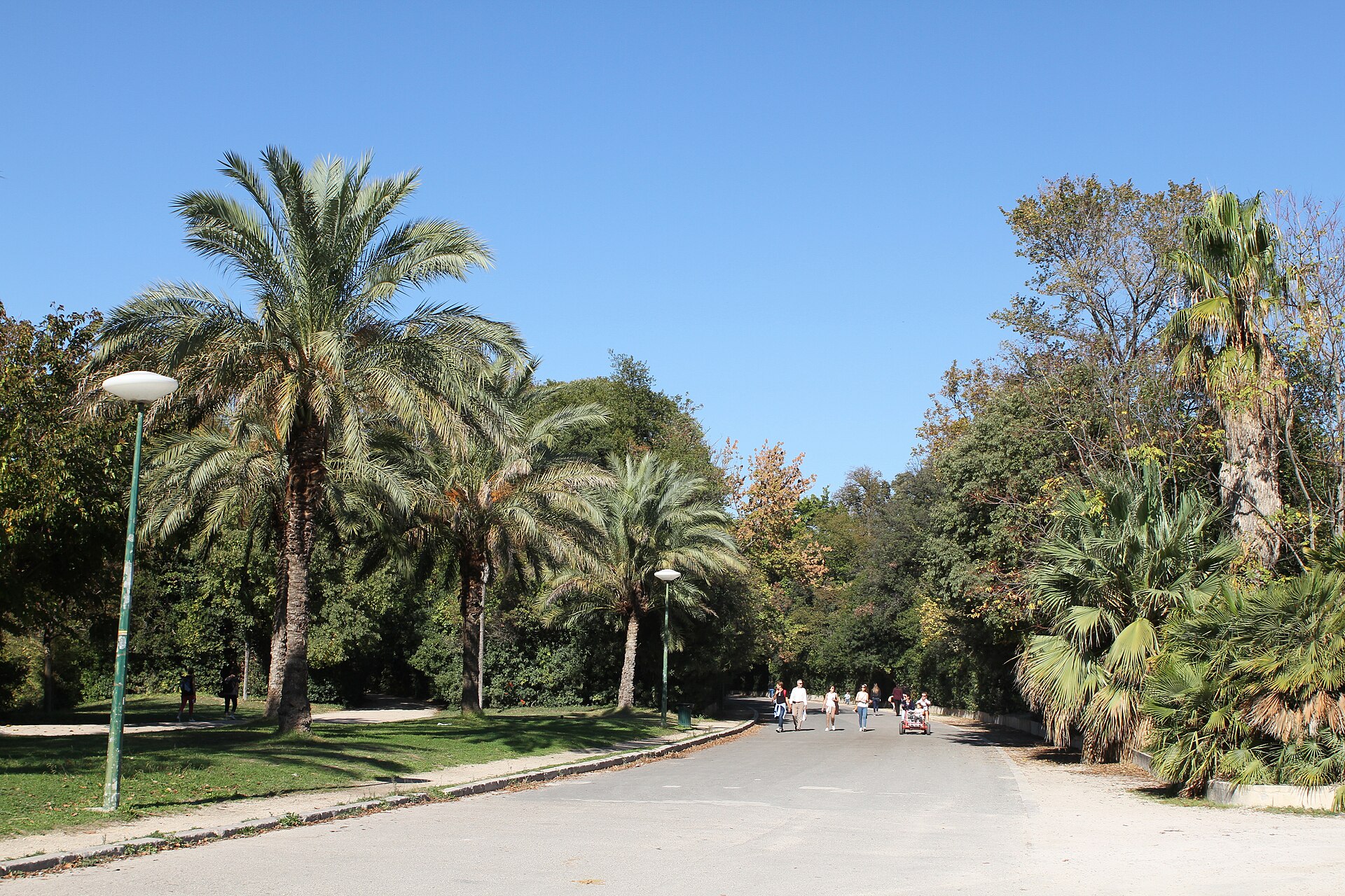Parc Borély Marseille — allées, spot de skate