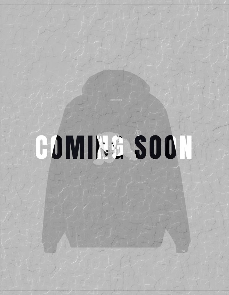 HOODIE NOSK8® P.B CENTRE #ORIGINAL